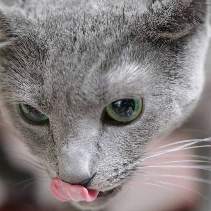 B1295e91 e6c4 4d15 ac85 88d9212d080f 1546688773143