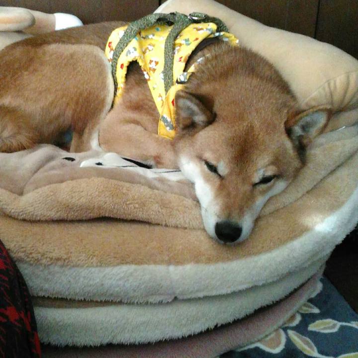 B129d0ec aa66 4474 a93d 03089e3de81d 1512540200603