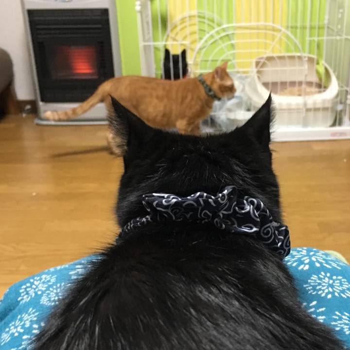 B12a0097 f24d 438f 97f7 1627f4346fc0 1537969810956