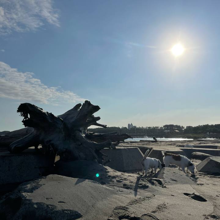 B12a028d cdad 4950 a541 accd9d04d6ee 1631666837776