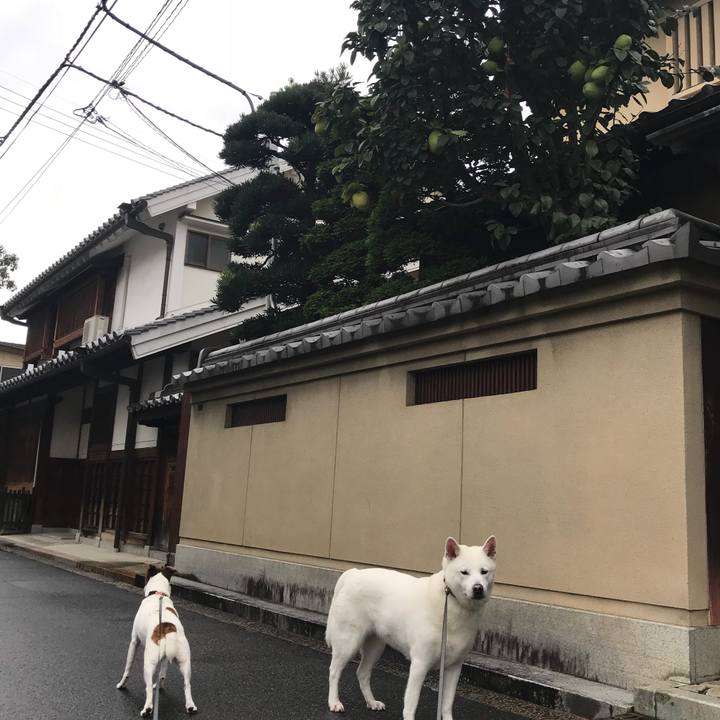 B12a0399 fb57 46f1 a013 1d61078e2c45 1509239858264