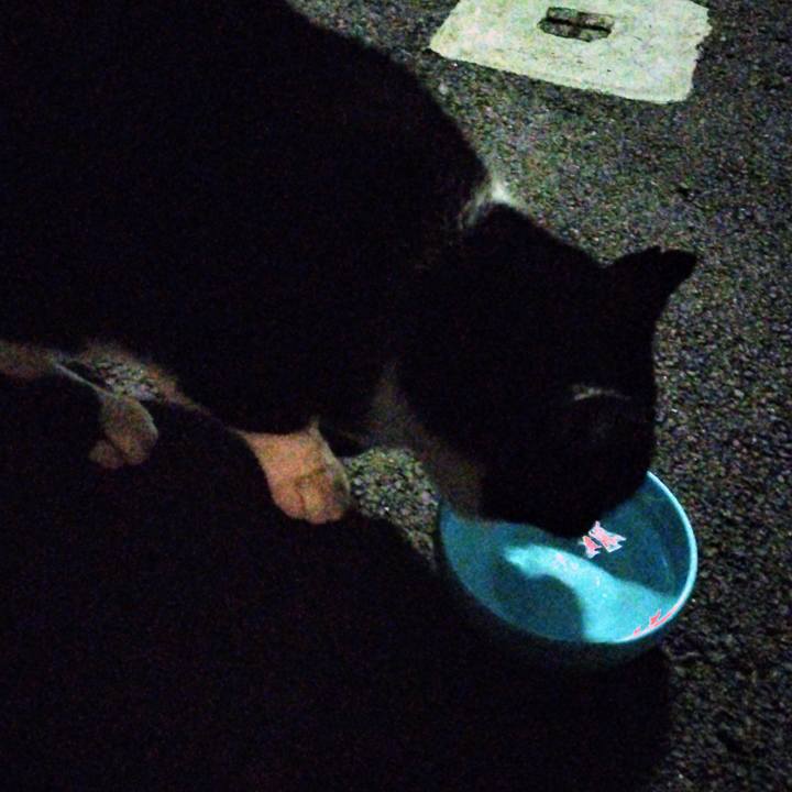 B12a1d80 d778 4e8f b921 ffcfb17f38c7 1701941136989