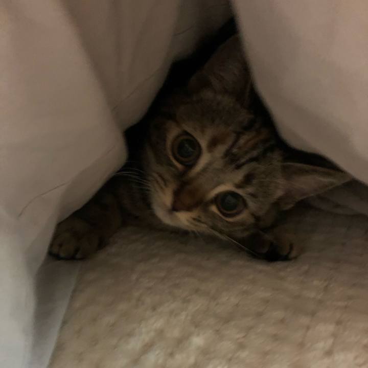 B12a4dbe 947f 4985 912f f96c5210fdd7 1581908283400