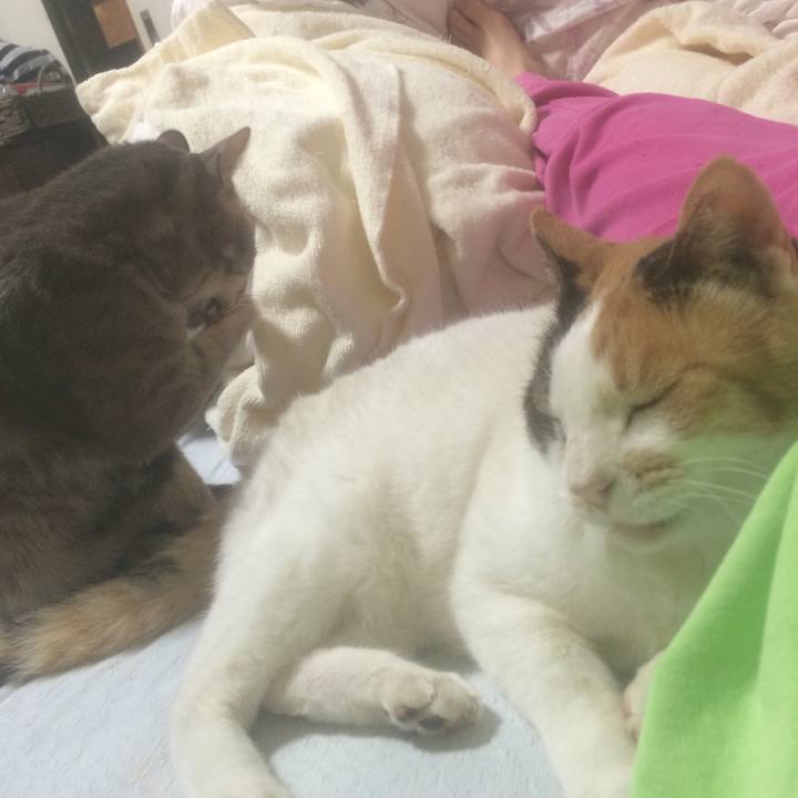 B12a7898 e8ae 4b15 ac04 50ca6474e47f 1559228105136