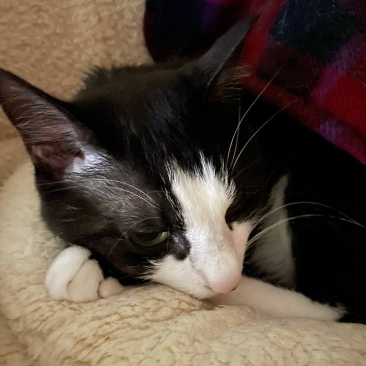 B12a86ec 452b 41aa 92d1 0b636149332f 1635518249648