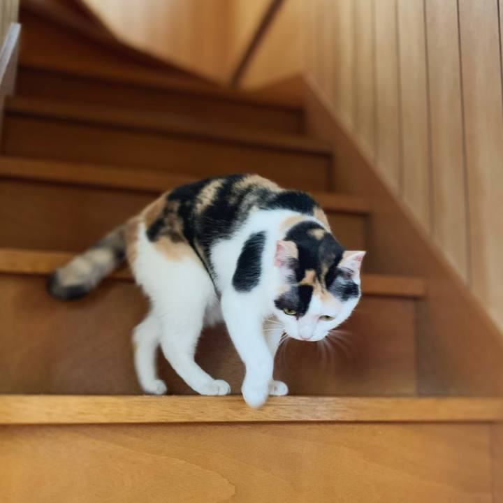 B12a8c2a 0868 4547 ac69 b144312195cc 1598583355861