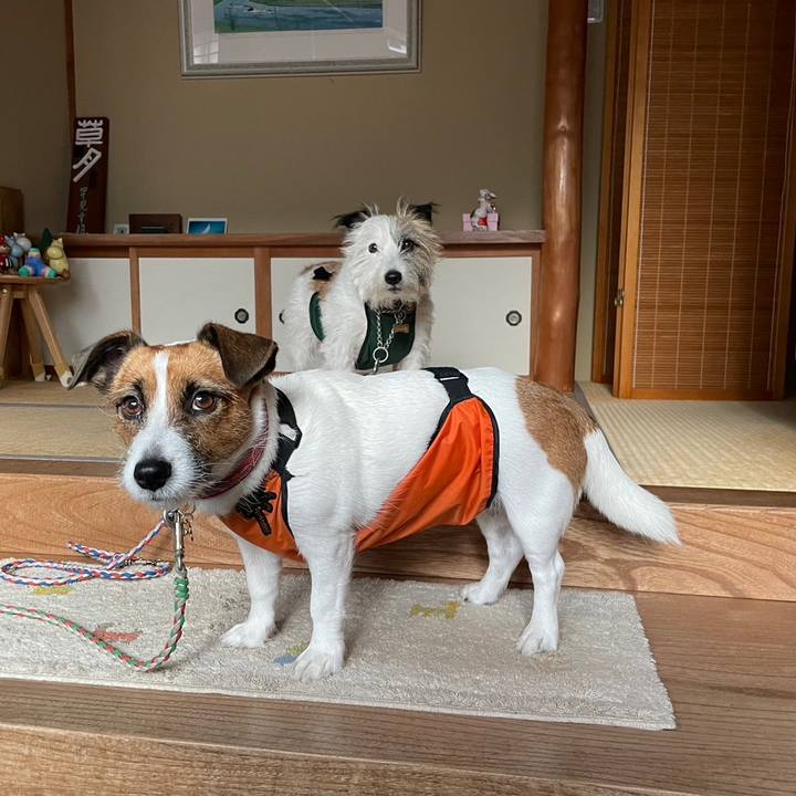 B12a8f81 69b8 4664 840c e1f30d84bf5e 1696676439133