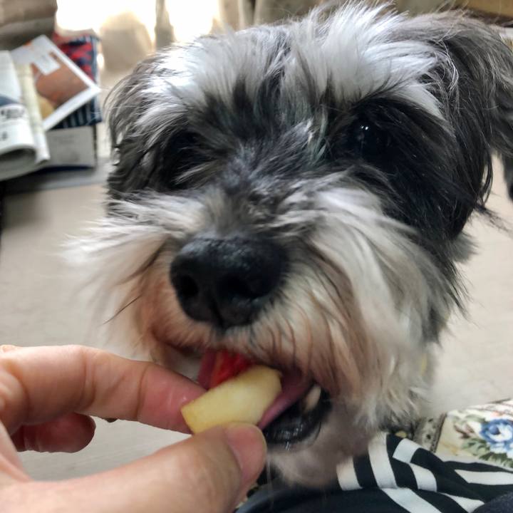 B12ab09c 3533 436f b0b7 59b01ad25506 1645346109770