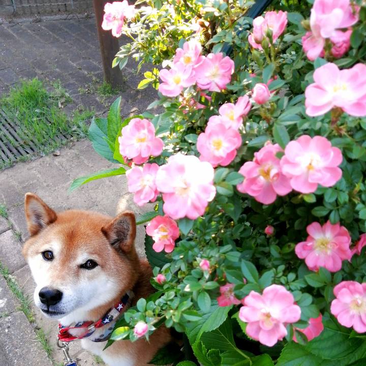 B12afb6d 336d 4a80 aed5 6b6e578faca9 1652861439880