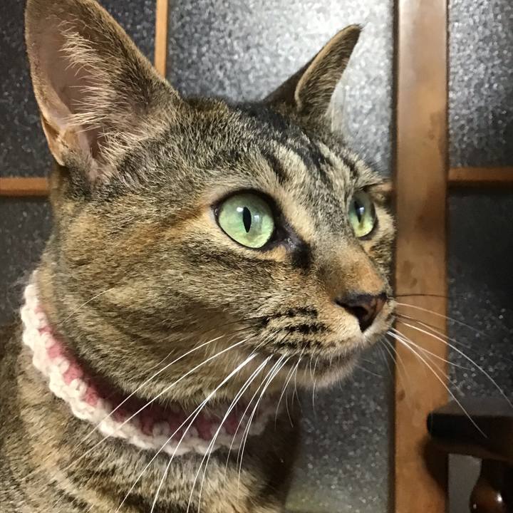 B12b0623 95b2 4543 b44b d1f49bfb3114 1656758457506