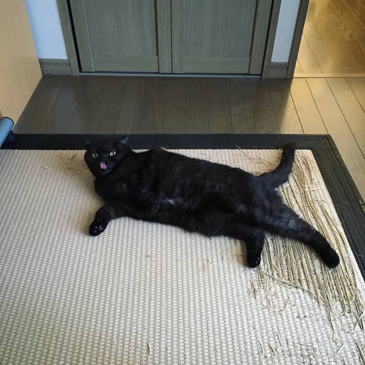 B12b3706 8a1c 4ded b512 990c48914598 1516578060895