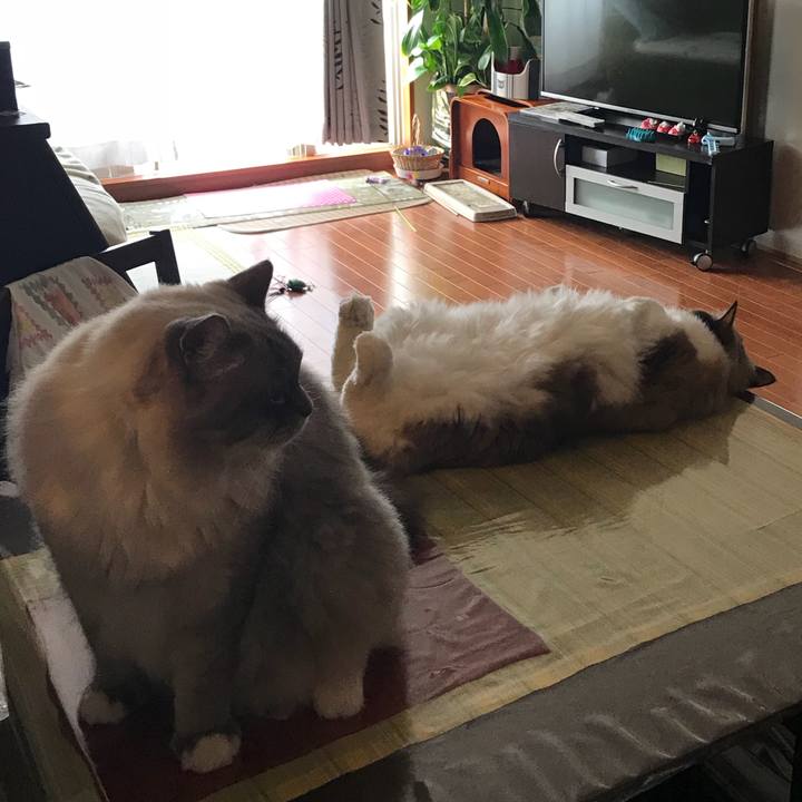 B12bb2ca 3afa 42ff 98b7 87423a115680 1508161695508