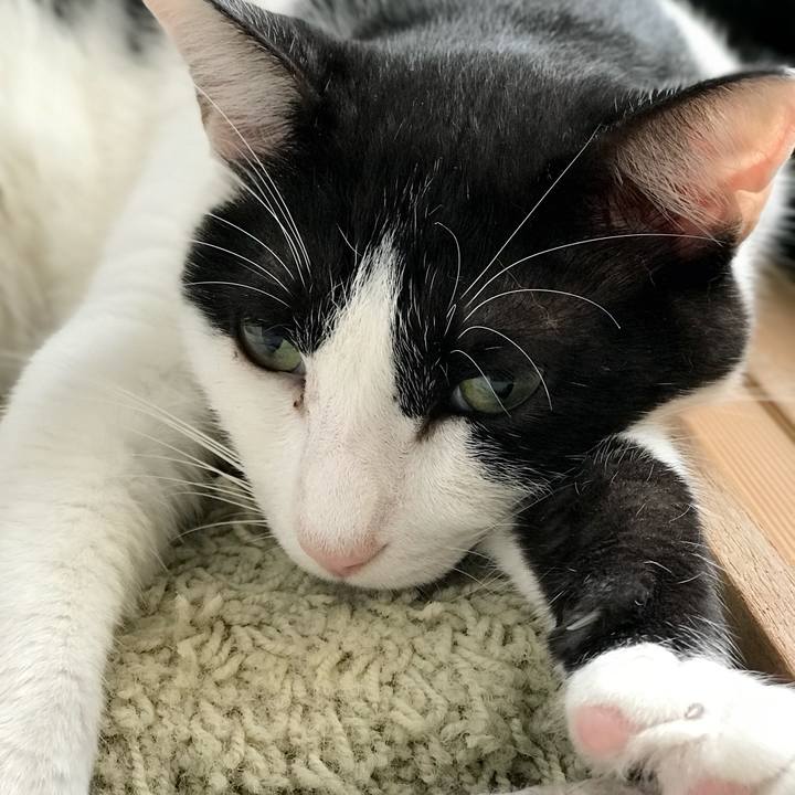 B12bc77f 9670 449c a10a 26b99acccdff 1537626305402