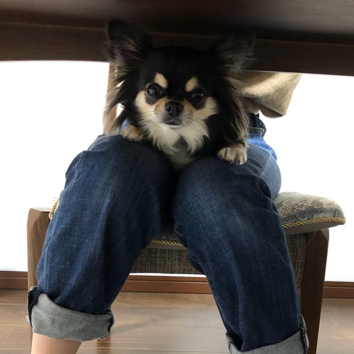 B12bd81f a8ee 42af 9d86 e07b997ef7d4 1582066317144