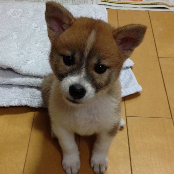 B12be713 835b 4693 80fb f7a466cde52f 1535187635636