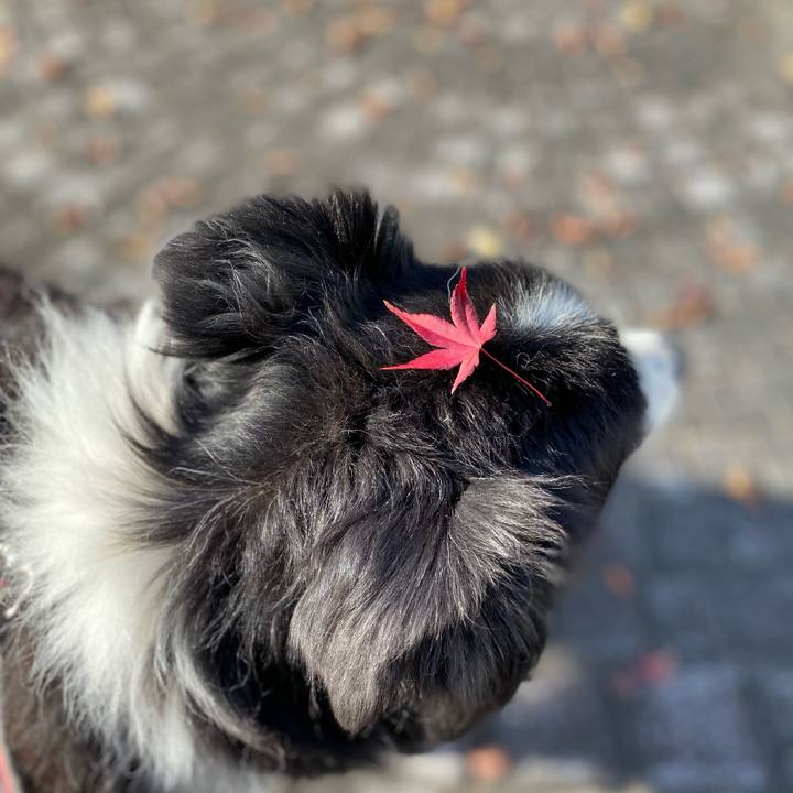 B12be993 7146 4d2f 9eb7 ecd22e3c8a76 1668040519506