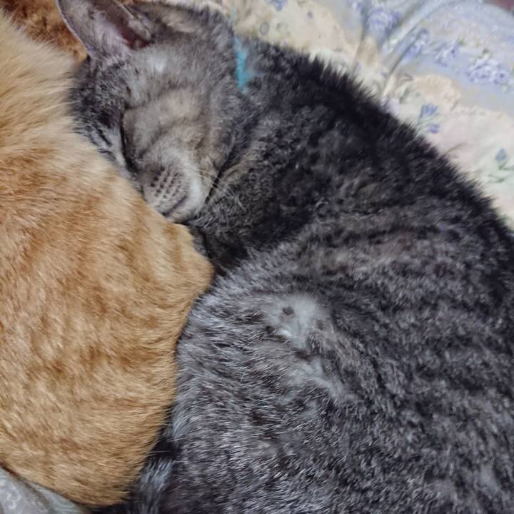 B12c2e8d 14dd 4919 991e fee710bca05d 1576498041846