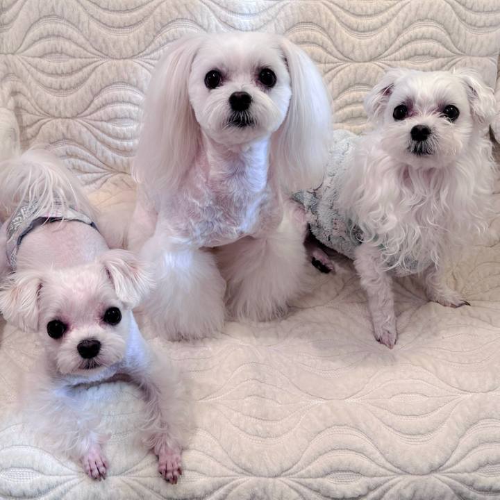 B12c488a 3070 4835 a657 f1556d1635b1 1703920902085