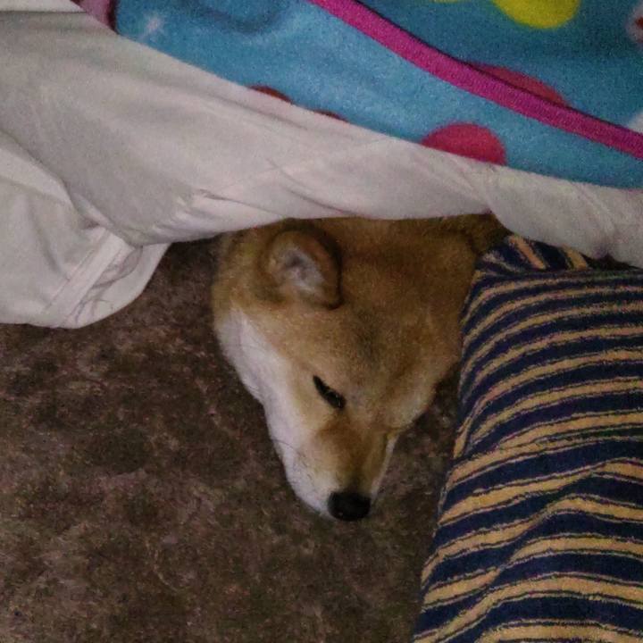 B12c5cea 60d7 4ec5 b0c9 9933c500befa 1639872252261