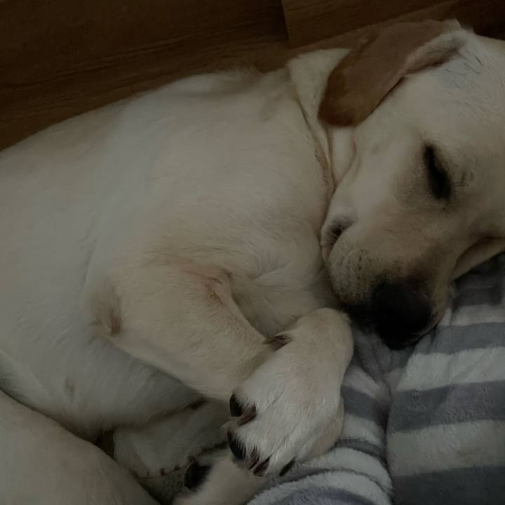 B12c781b e8b4 44e3 9e35 0cc546658989 1639614580842