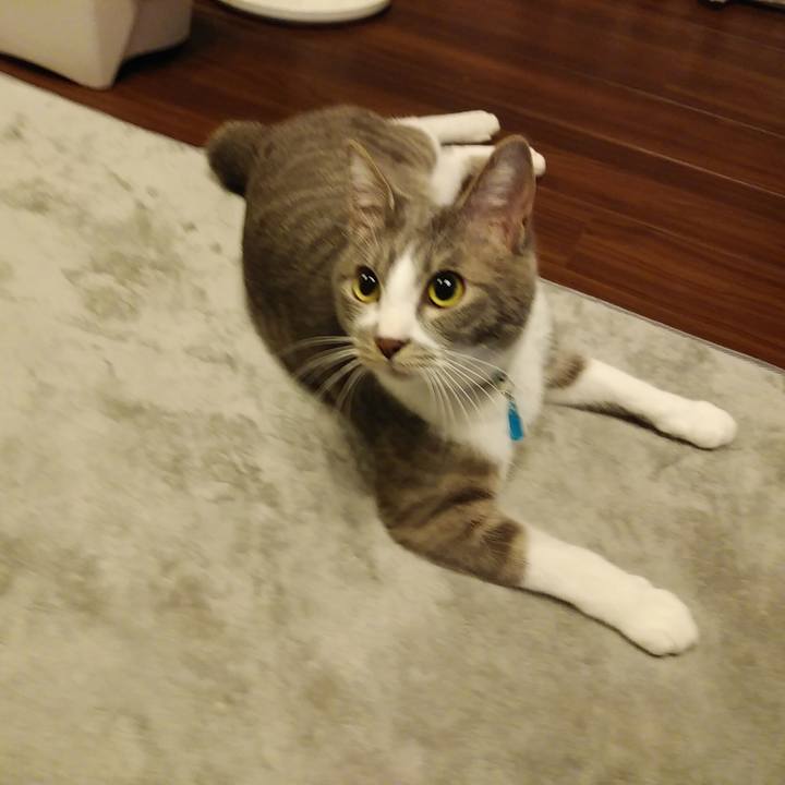 B12c8ad3 d482 43b3 9873 db071147c8cc 1586697943398