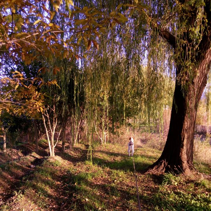 B12cbc39 0fe7 45b0 81f8 20345234f1da 1511860938754