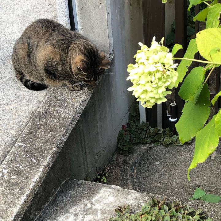 B12cddbe 9fbf 491c a974 382c0e9449ec 1532949038663