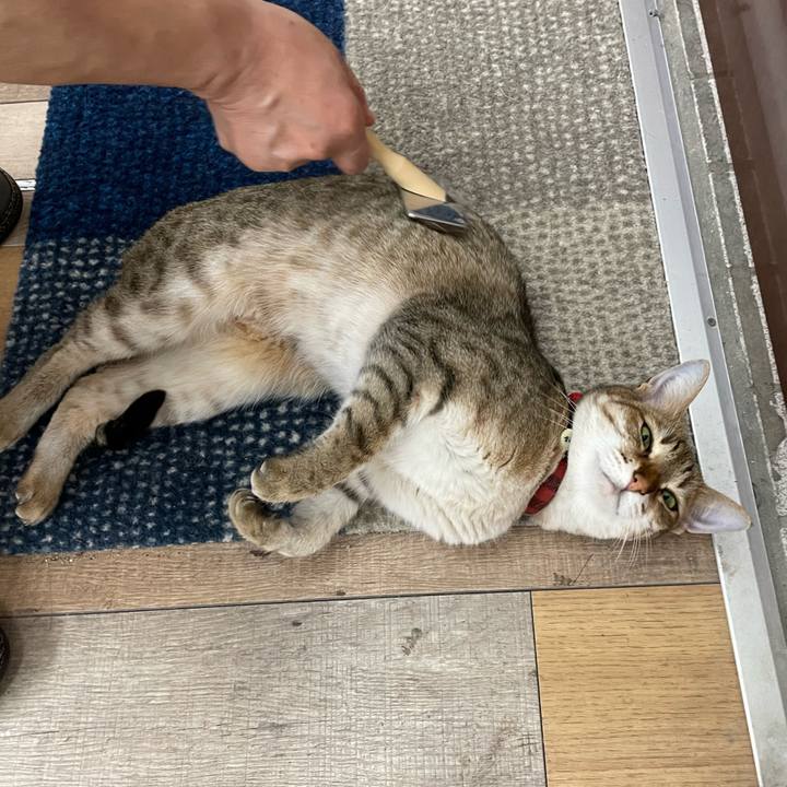 B12d0acc 49f9 45e5 b9af 81b3e1ee2d40 1685812196238