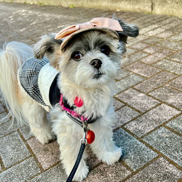 B12d139a ae1a 4029 8534 dcfa8ecf3cc4 1643958352957