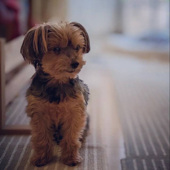 B12d640e 746f 4ac4 833a cc571bdd4cf6 1666868352831