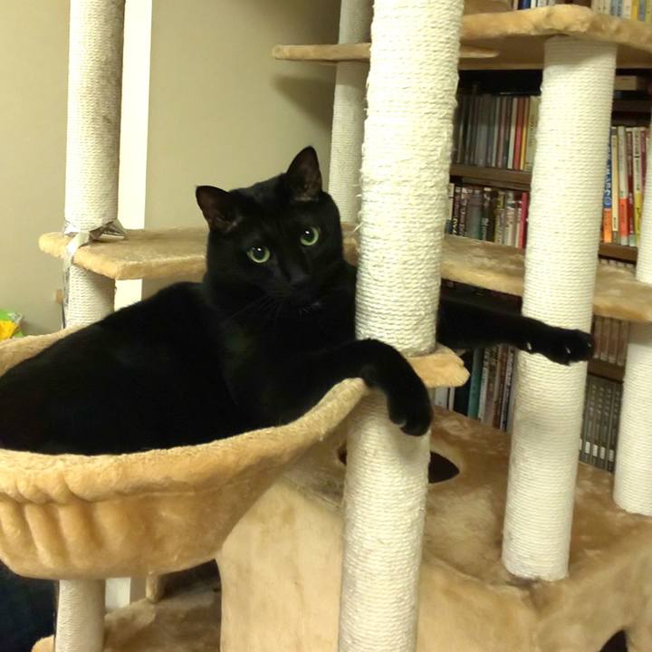 B12d80b5 7ab8 46b3 a1a7 283de7aee623 1682521456138