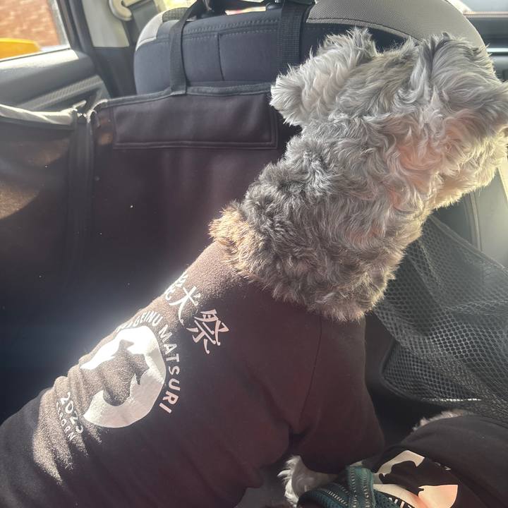 B12d81e3 4df7 4ad3 a647 a93f08e0ab33 1729381724340