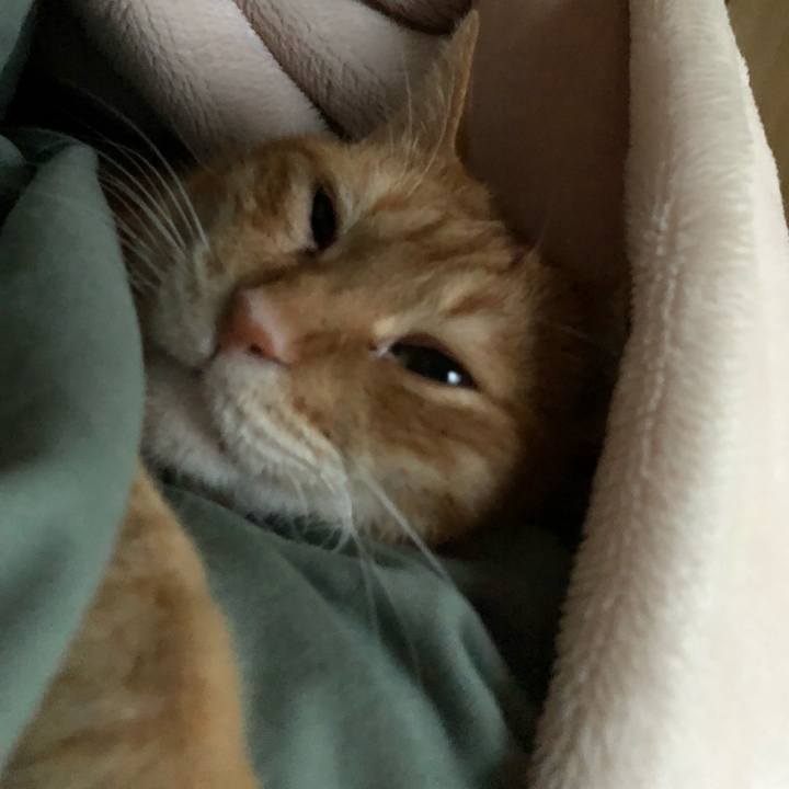 B12da75e 0fe6 49ce 9f5d e4133f280e2e 1647638653891