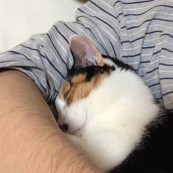 B12db44b 2b39 40bf a8d2 a89955a847ce 1551879195332