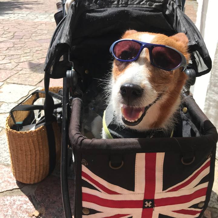 B12dc8da 5421 4878 9803 79f8697f97c7 1528404256083