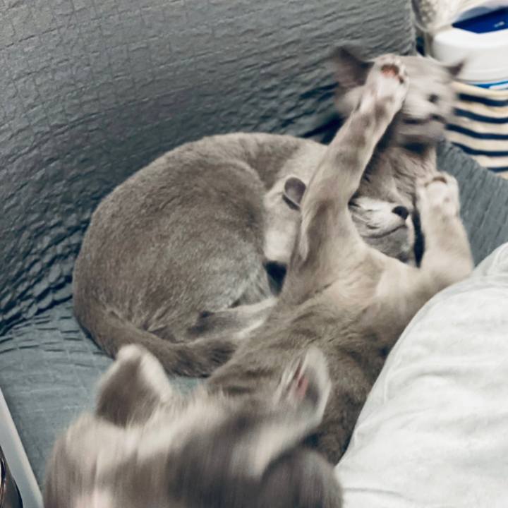 B12ddc5a c4b7 4776 8b4b 2c580ab62855 1620136472737