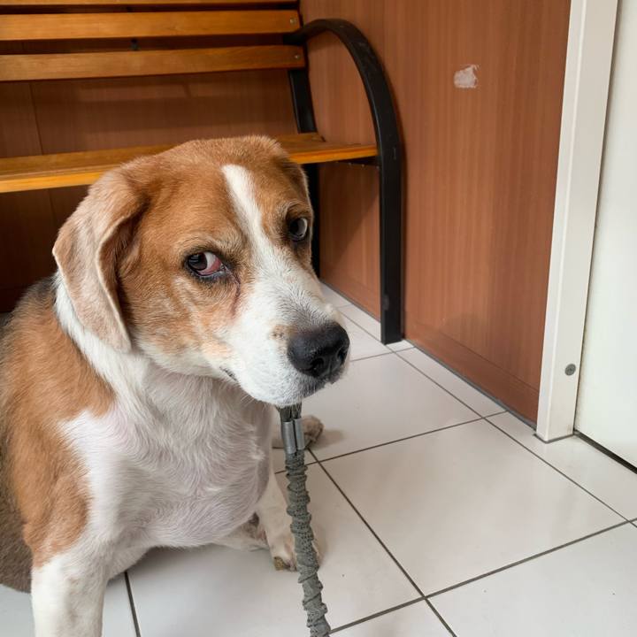 B12de6a3 59b1 4ff7 88a3 08dbf44a090f 1769042819293