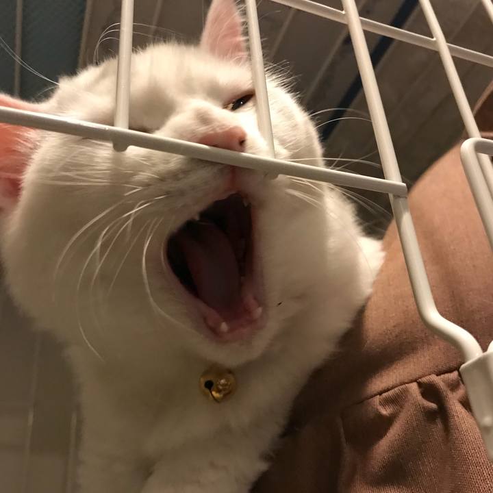 B12df9df 7791 4f99 9176 2d0c56a3eb17 1513862658504