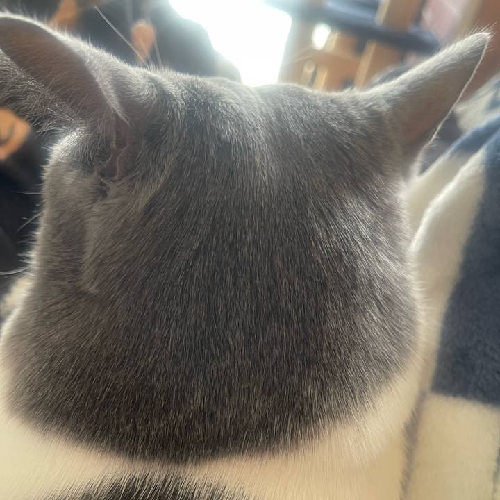 B12e1f04 491b 477c 8807 c4a499cf33a9 1736651953555