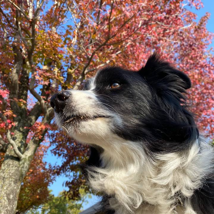 B12e32a1 2f35 4966 83ab ce7dc15e98f0 1635990981484