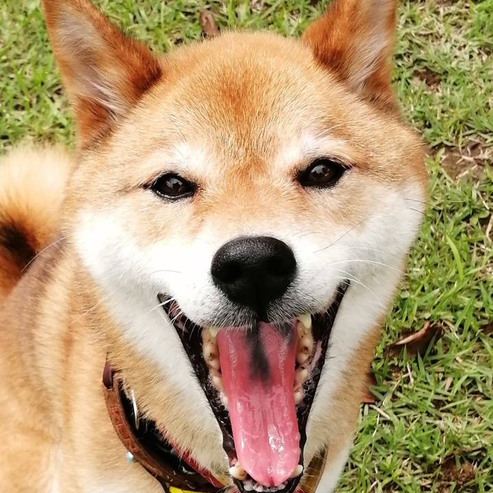 B12ea7a5 2688 4680 8f47 6ad605696f88 1593593096659