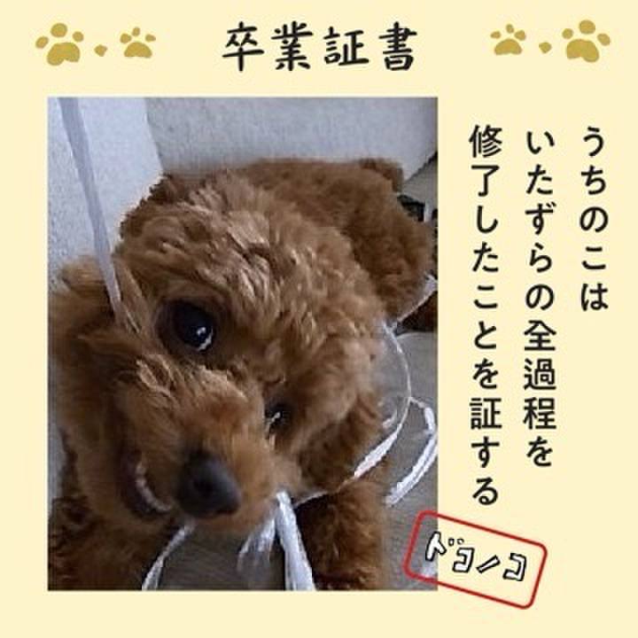 B12eb7ee 60a9 4b3f b559 84cbe66d9e8a 1771833246429