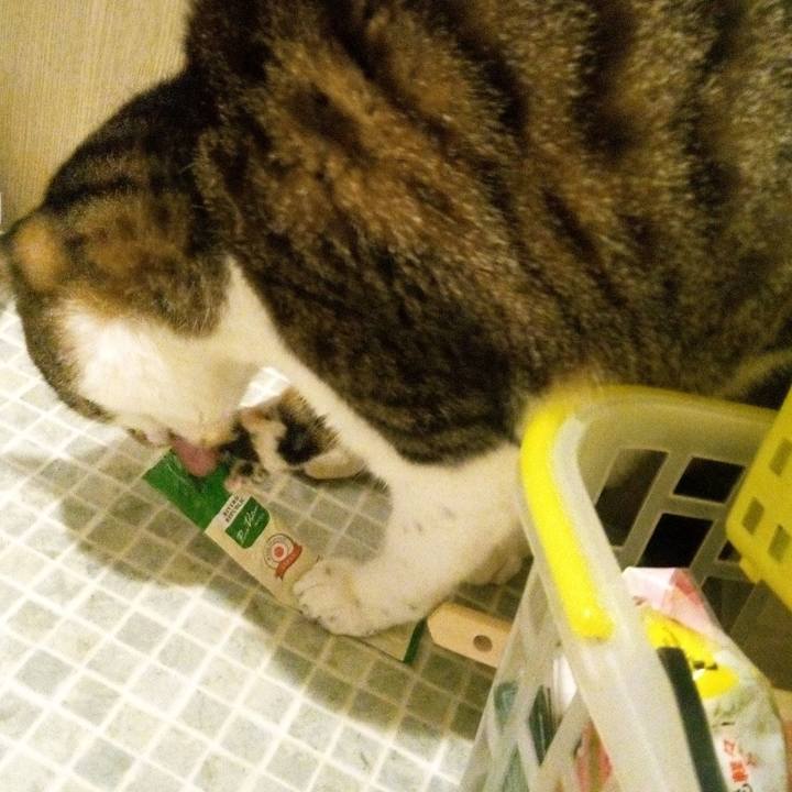 B12eb97d beff 44d5 af65 624ee4d35dfd 1768580107827