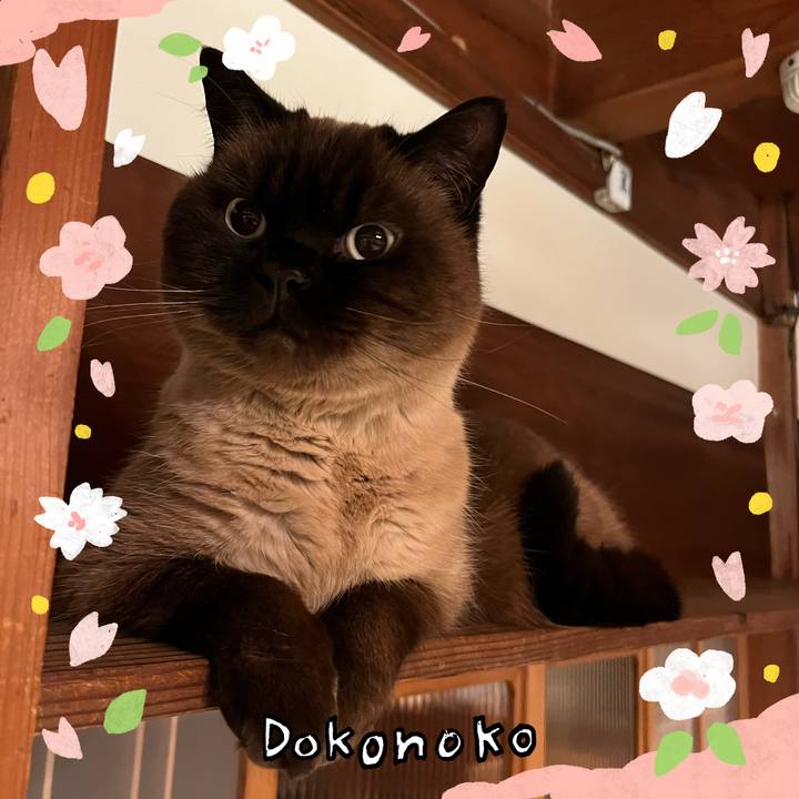 B12ec01c 707c 493d bb4b 10d64b8303c0 1711085586410