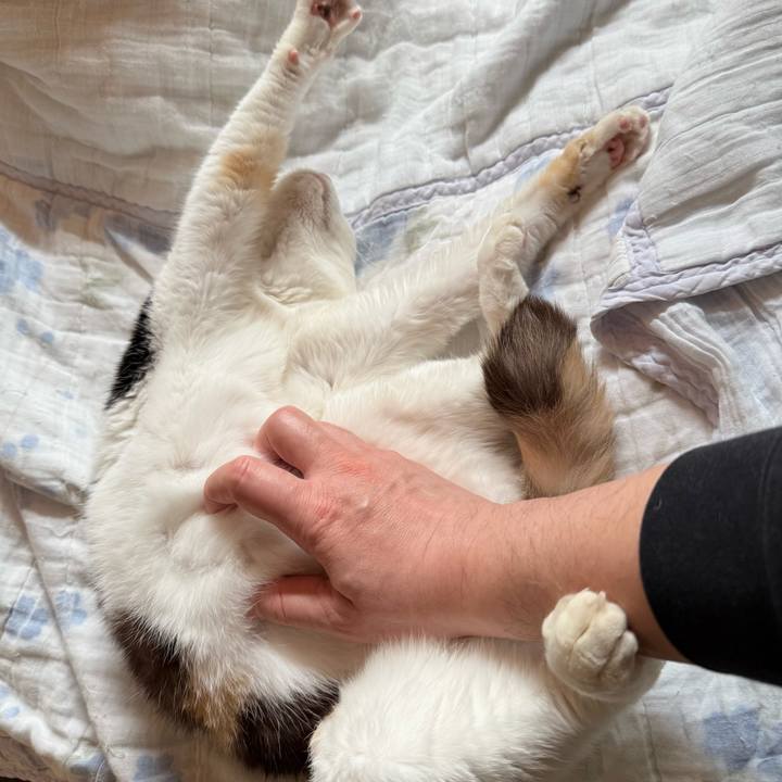 B12eca09 6287 4616 9b31 e906a87efb71 1749610759444