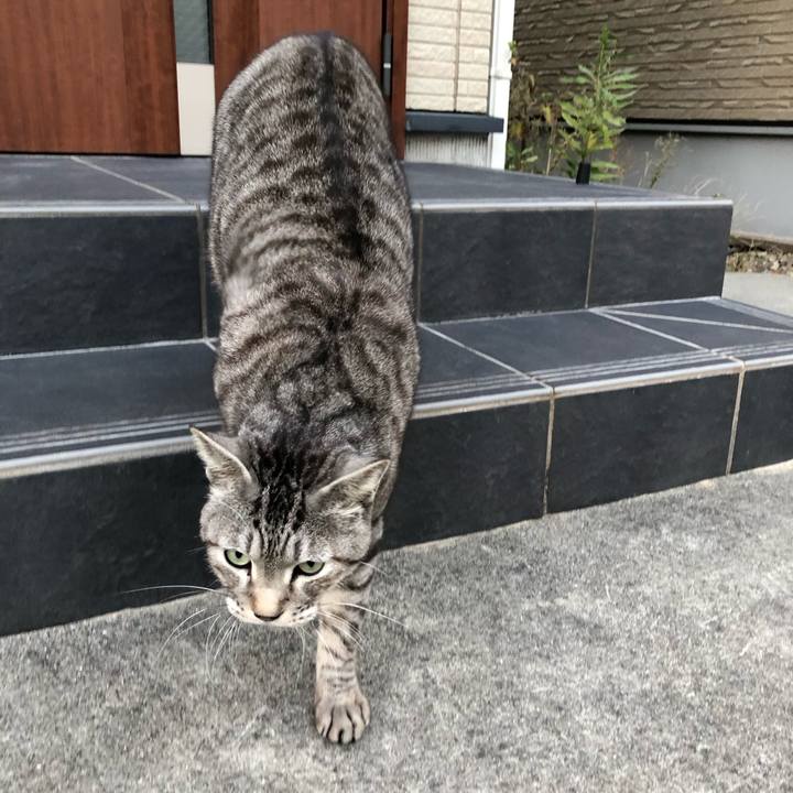 B12ed5dc a9cb 4c98 8377 9240b1986ce1 1643865483106