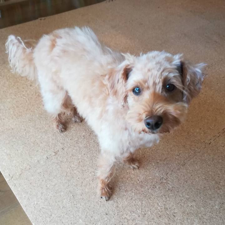 B12ed80d 3b99 4873 b273 9bf42ae89521 1569037728142