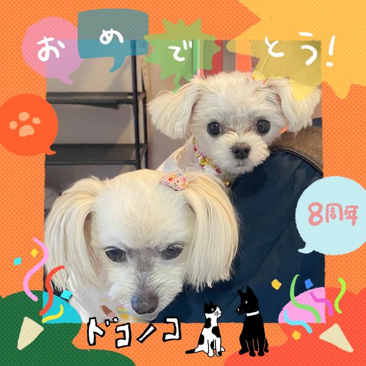 B12ef536 efb3 479c 99a6 e6d4a2cf439b 1717642600911