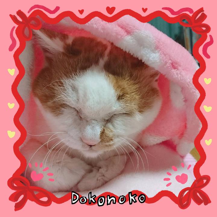 B12ef789 ec25 40a4 92bf b04cf24f0989 1706956316387