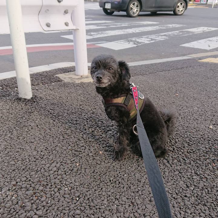 B12efff4 9207 47fa 85d2 60a838e01ff8 1556438060932